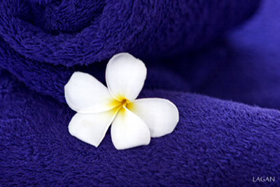 Tourist Resort - Most tourist stay in exclusive resort islands.