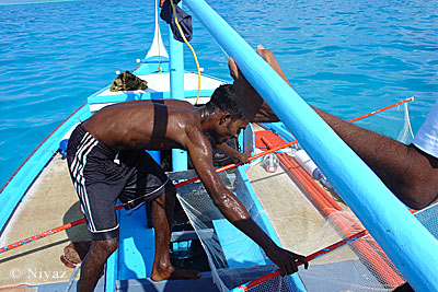 Fishing still is the main income earner for most Maldivian families