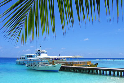 Cruise and sailing boats in Maldives