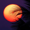 Maldives Images
