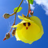 Maldives Videos - Collection of videos from Youtube