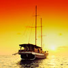 Maldives Visitor Guide